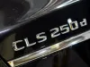 Mercedes-Benz CLS-Class CLS 250 d 4MATIC Thumbnail 9