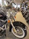 Harley-Davidson FLSTC  Thumbnail 1